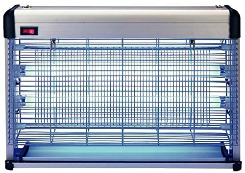 صاعق ناموس كبير